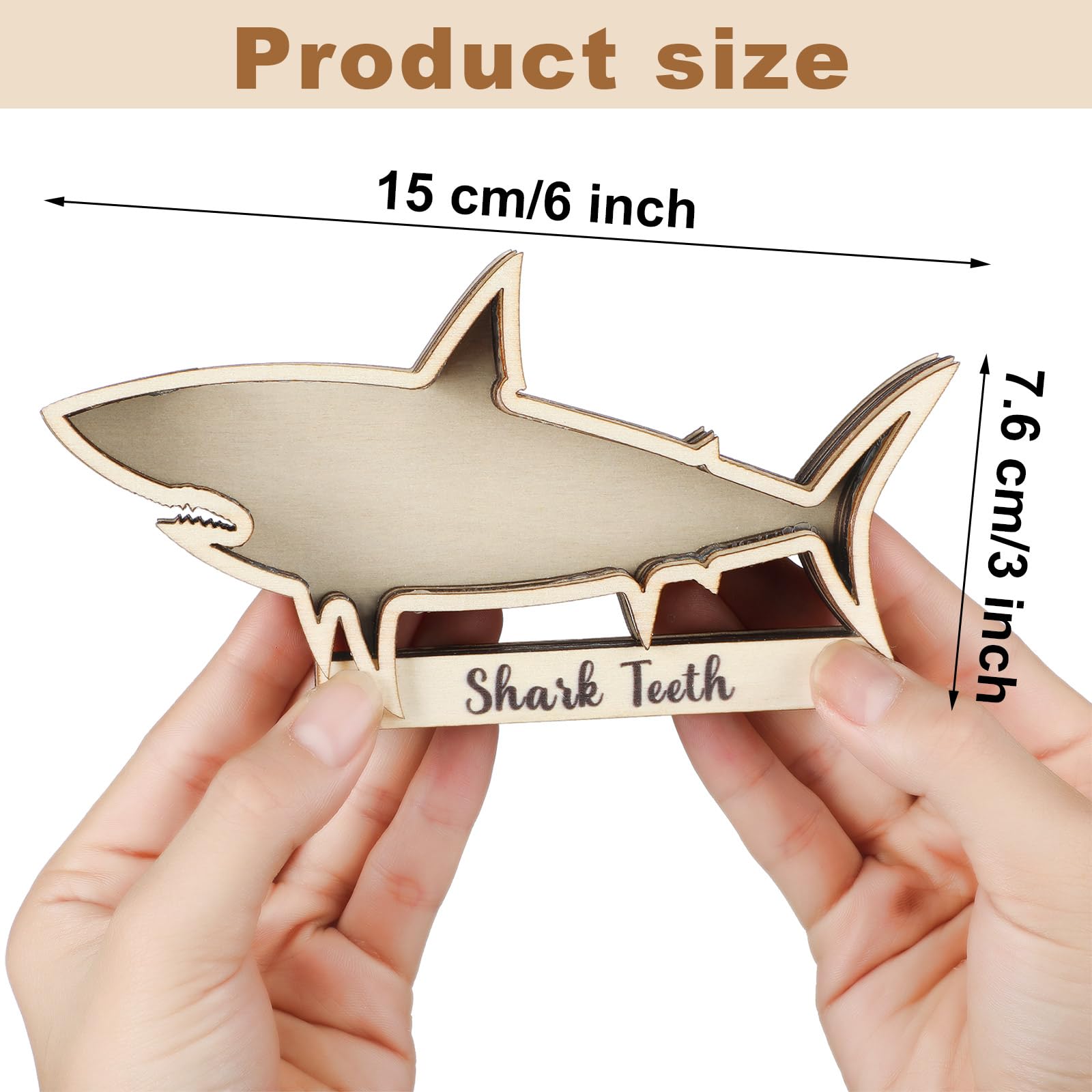 Amazon.co.jp: Yousoontic サメの歯のディスプレイケース サメの